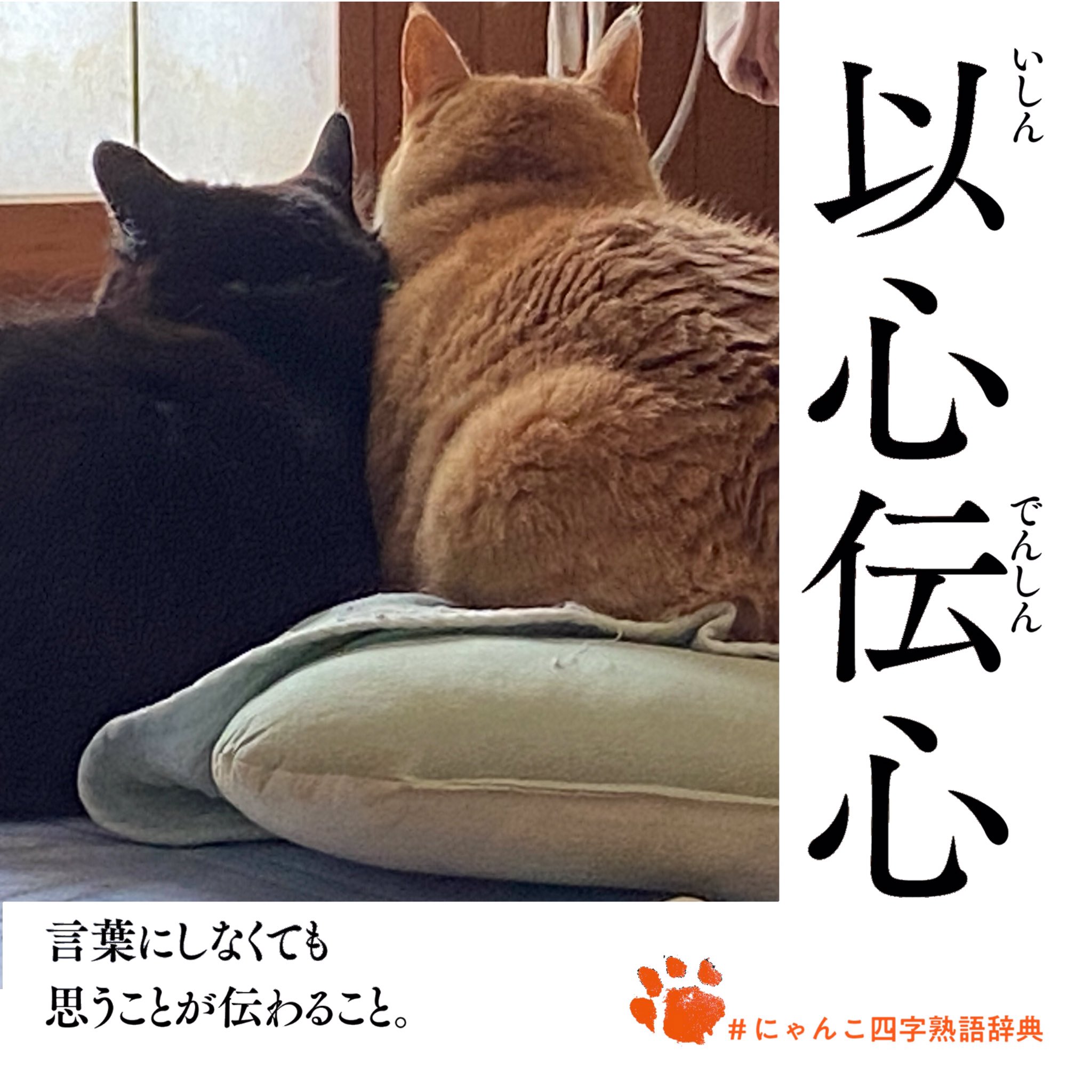 eco♪ on X: