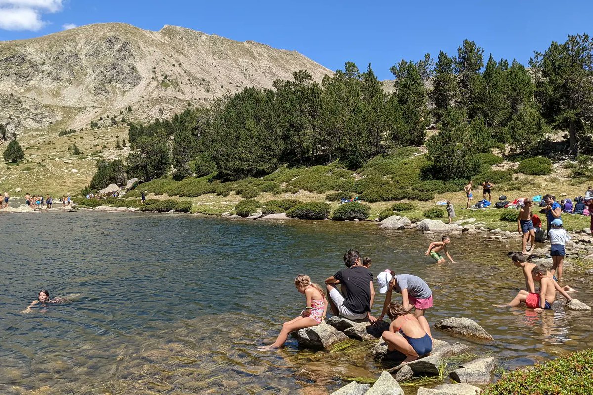 Associació Cultural Neret tweet media