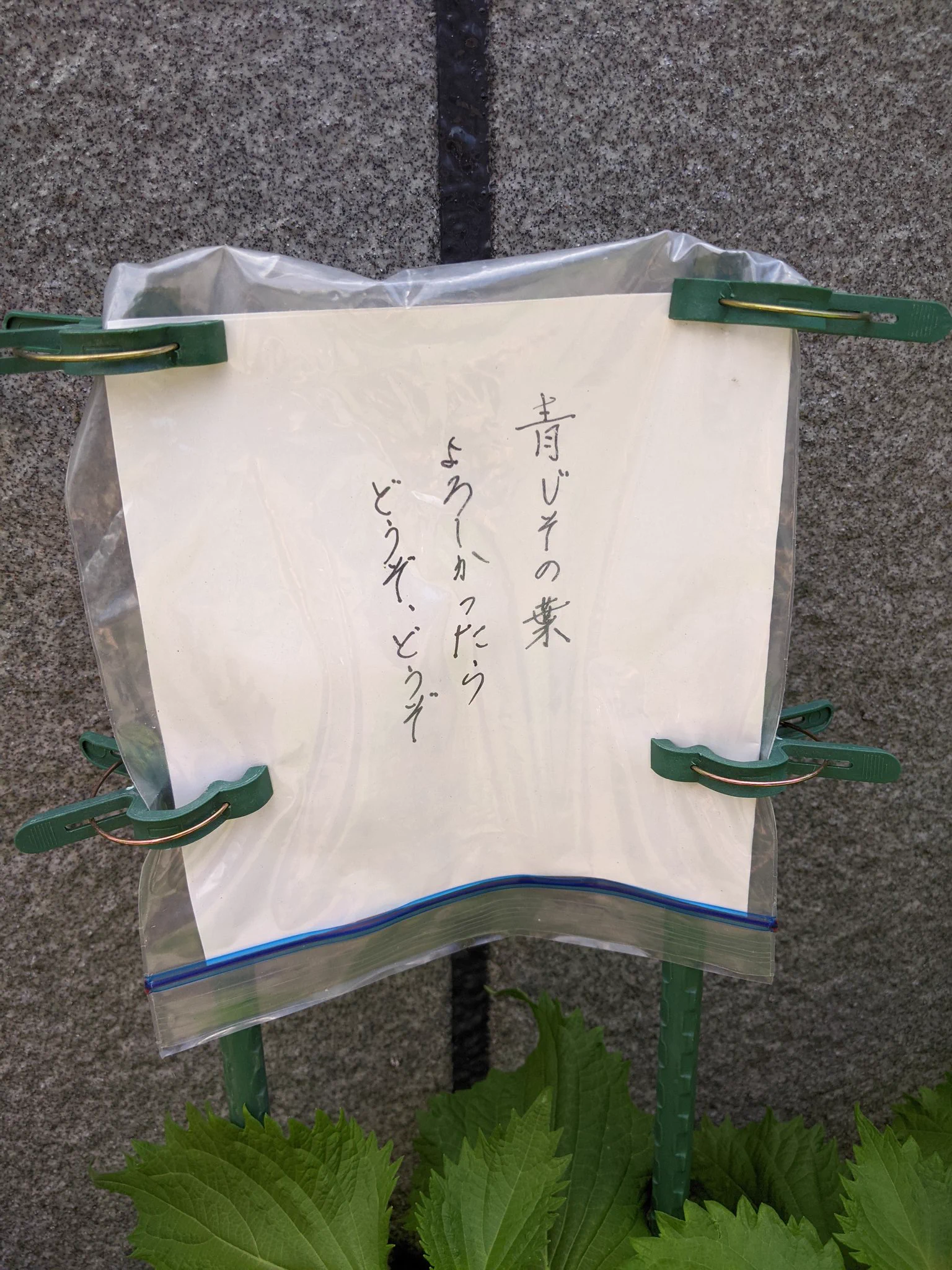 勝手に取らないでくださいの注意書きかと思ったら、優しさのかたまりだった。
