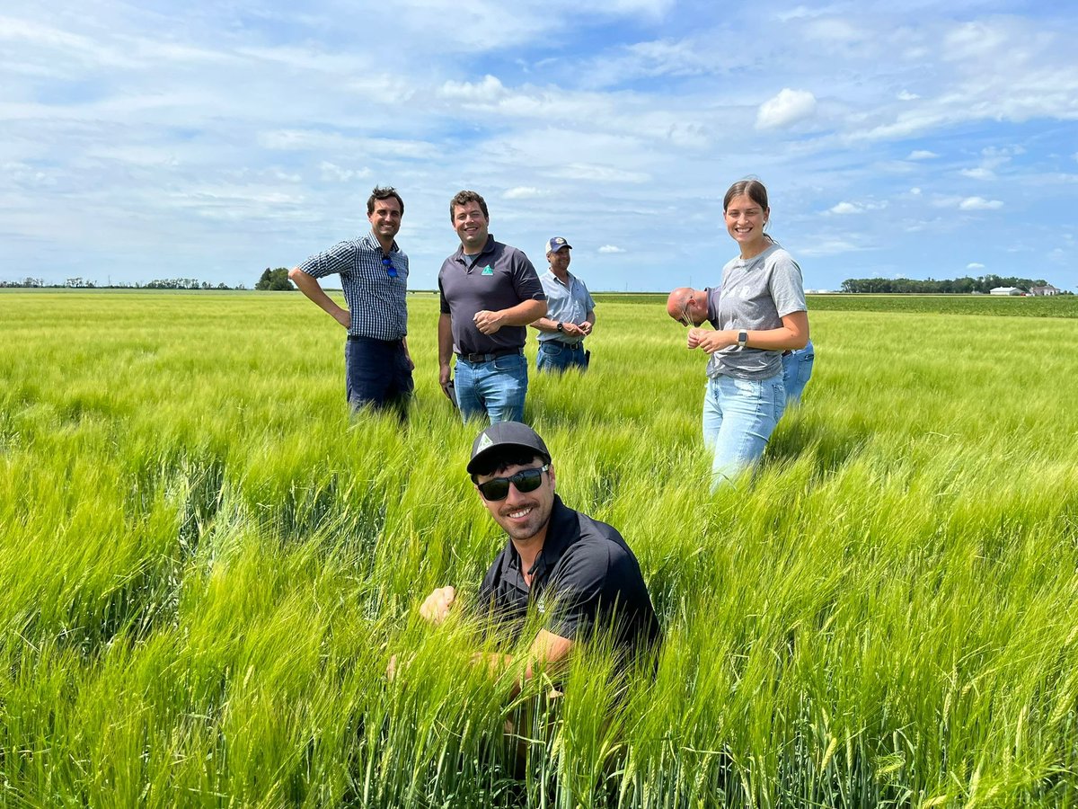#betterbarley people in a happy place... a field of #brewing #distilling #HighFAN <a href="/AckermannBarley/">Alexander Strube</a> spring barley variety #Winston in North Dakota.
