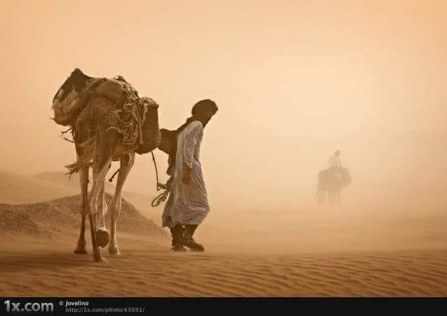 MISHALALSAUD19 tweet picture