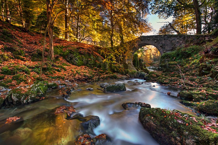 Tollymore Forest Park, Northern Ireland.