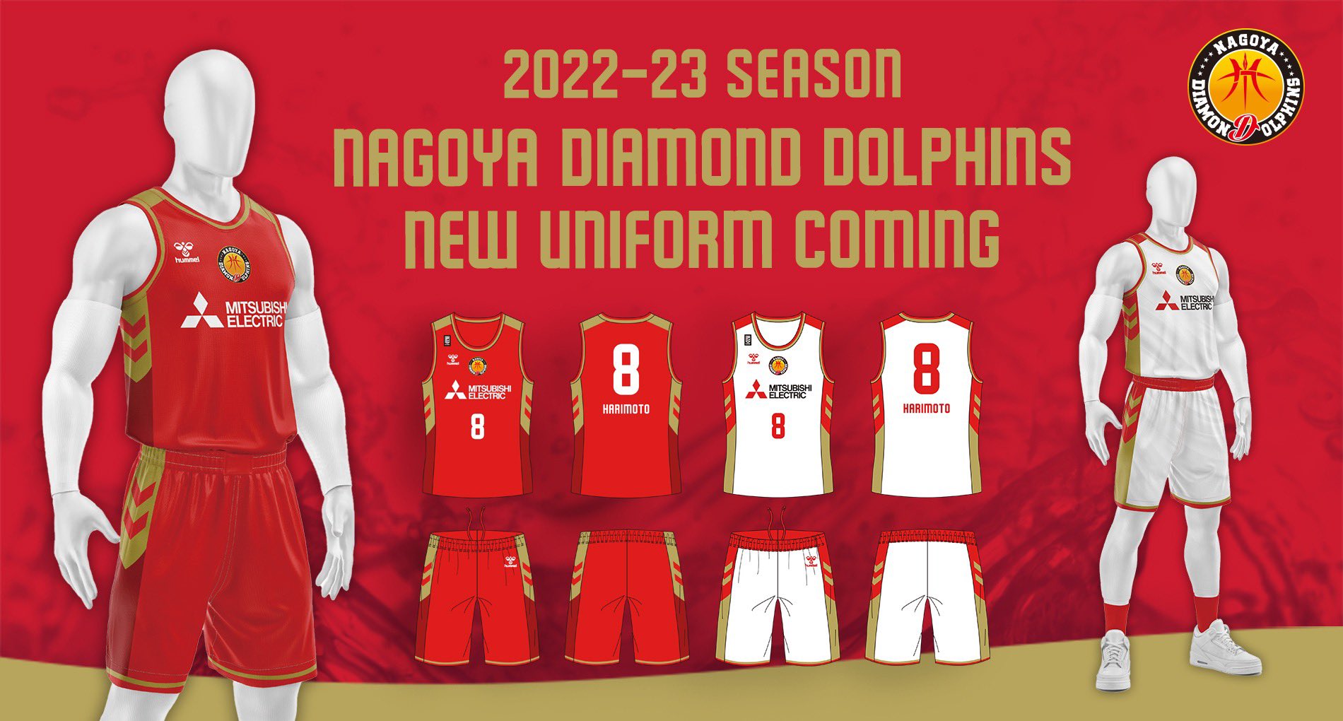 高価値セリー Bリーグ 名古屋ダイヤモンドドルフィンズ 齋藤拓実