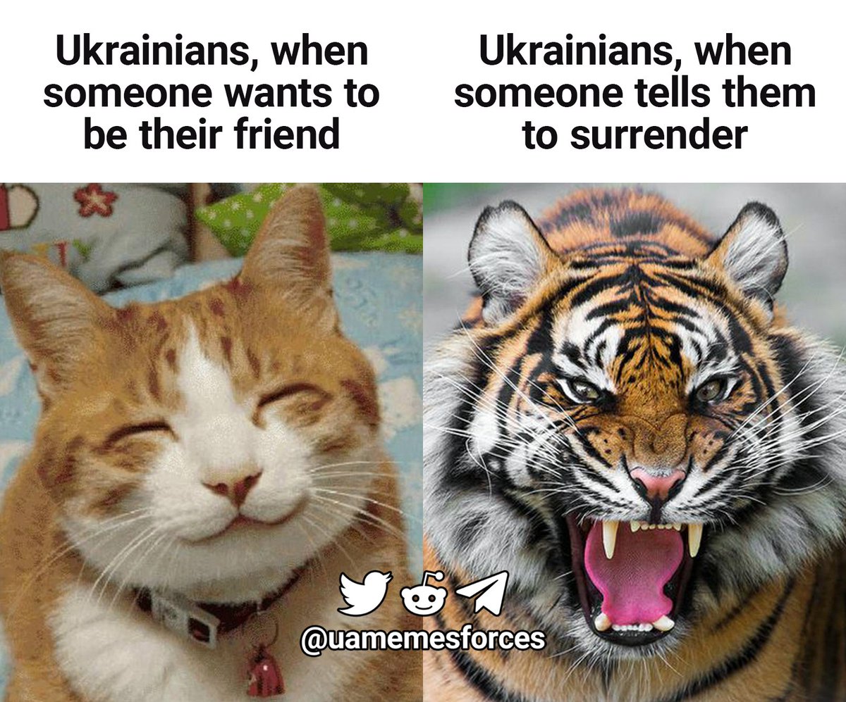 uamemesforces's tweet photo. https://t.co/8mZyfhNM0Q