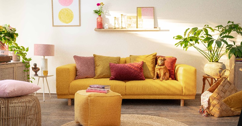 Už jste slyšeli? 🥳 FAVI spustilo 18. července svou další TV &amp; online kampaň na maďarském &amp; rumunském trhu. 
Téma bylo jasné  👉  Rychlé a jednoduché filtrování, sezónní slevy.
Kampaně vznikly in-house a podíleli se na ní Václav Píša, Jakub Smoljak a AZN kru.