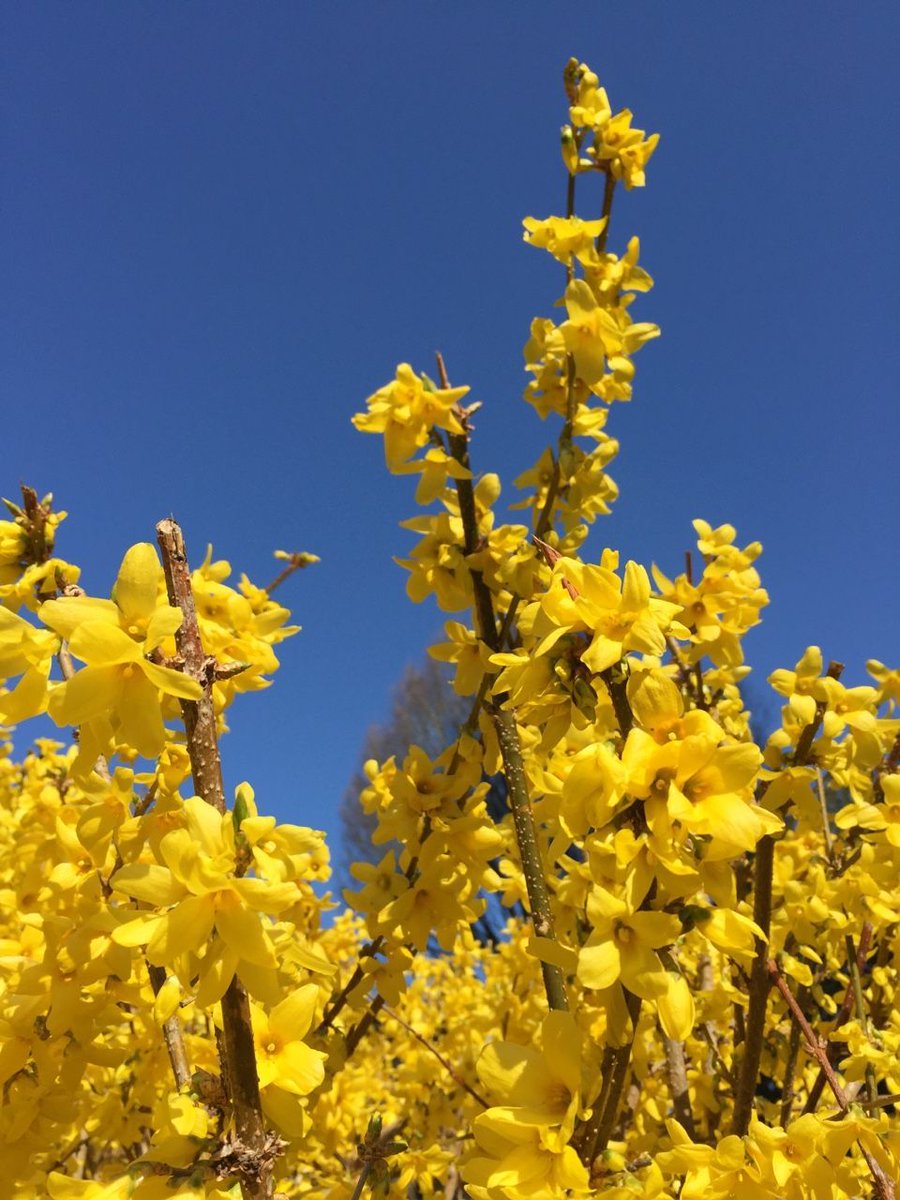 gloomybeardream's tweet image. my WORST lw experiences and reasons to recover - a 🧵 for edtwt

edtwt eedeetwt proana thinspo ed recovery lw ugw