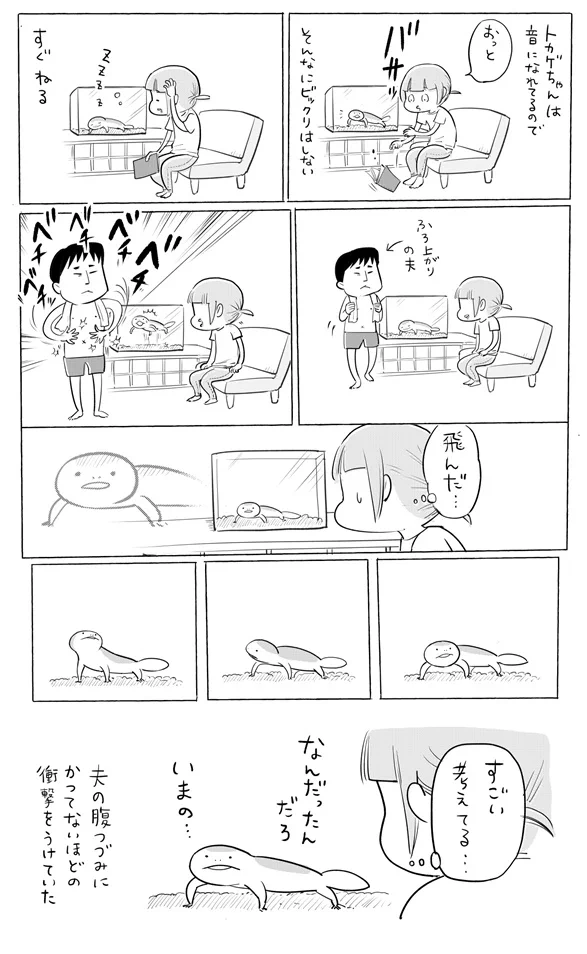 そんな驚き方するんだねｗトカゲちゃん、おどろきのかなたへ