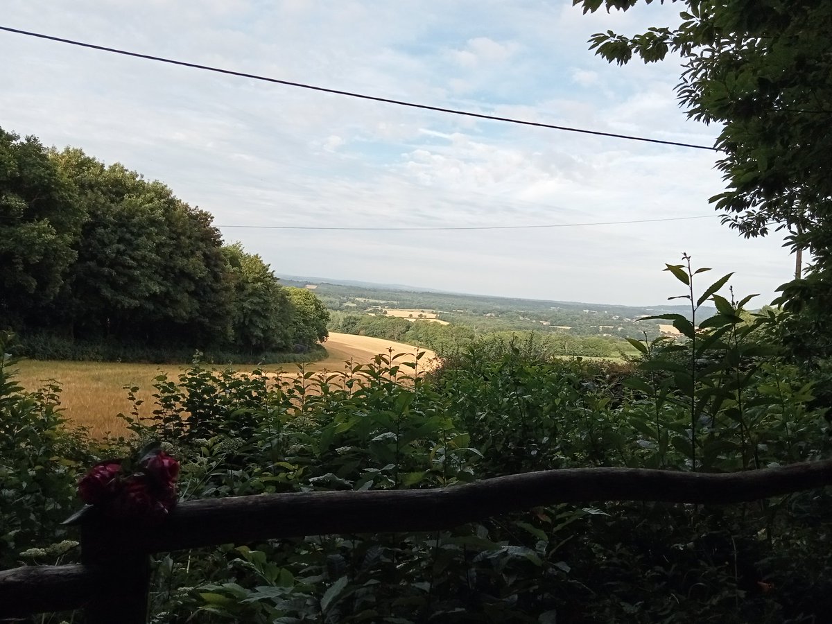 The lovely thing about house sitting and dog walking is that when you explore the area, you are rewarded with beautiful views. Kent is stunning. #workfromanywhere #digitalnomad