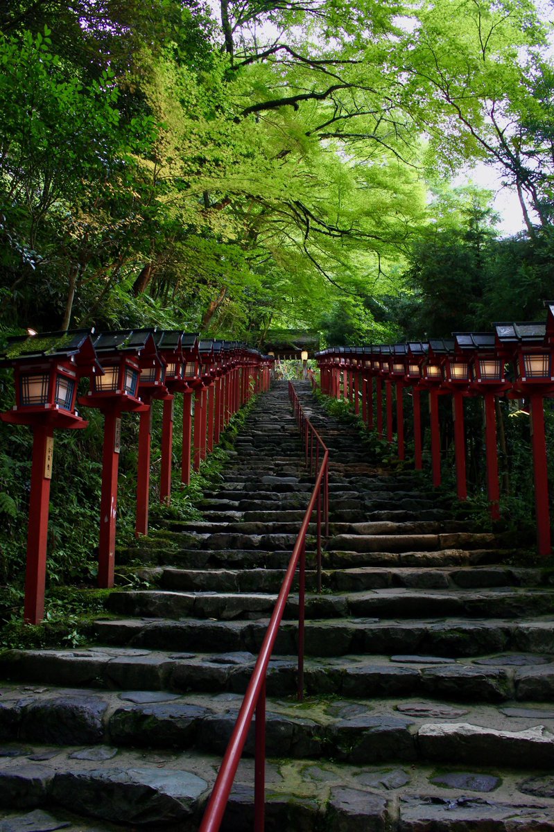 chitaka45's tweet photo. 貴船神社　七夕笹飾りライトアップ
Kifune jinja shrine 
#kyoto #貴船神社　#kifunejinja #七夕笹飾りライトアップ　#そうだ京都行こう https://t.co/hvdsUu0a6G