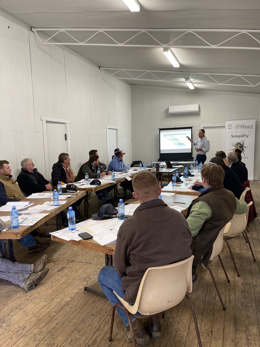 AWIExtensionNSW's tweet photo. Today we held a SimpliFly 🪰 Workshop this time in Coolac. Fantastic roll up of producers and really good discussion was had! 👏
Thanks to Jim Meckiff from JM Livestock for presenting at today’s workshop. 😃
#SimpliFly
@woolinnovation https://t.co/lIZ9l6WcDw