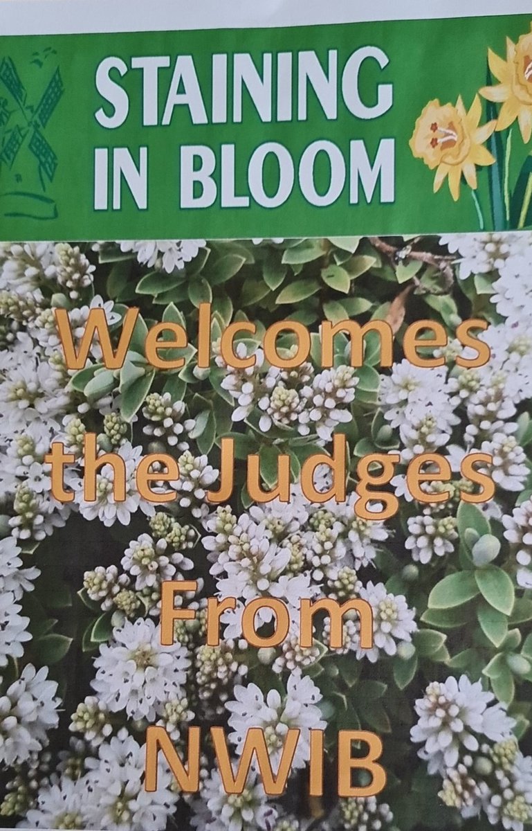 Staining in Bloom tweet media