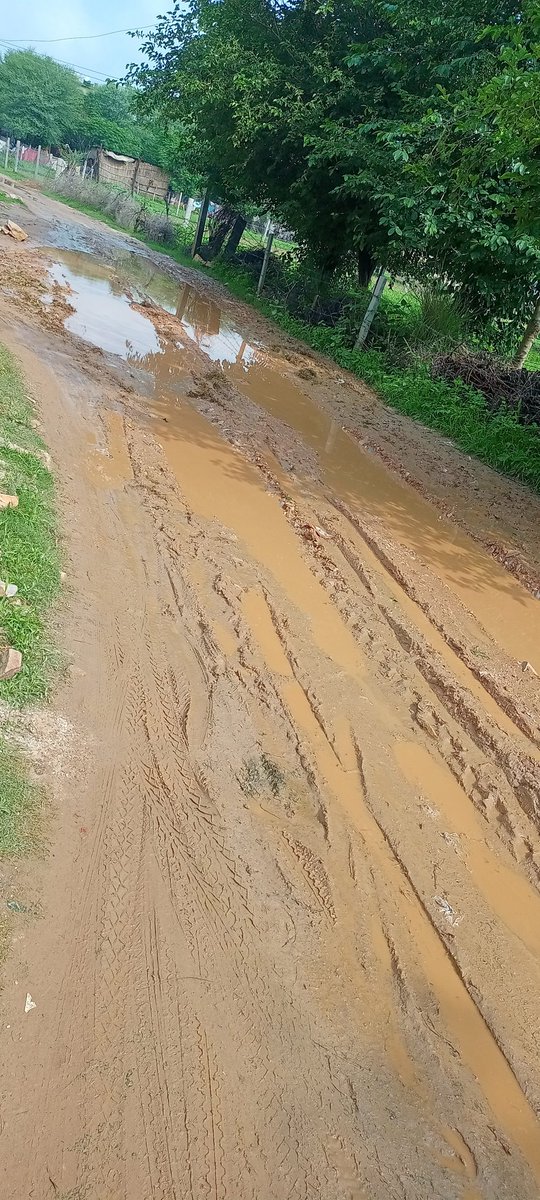 आजादी के 75 साल बाद भी गांव की सड़कों की ये बदहाल हालत.....
👇👇👇
जनप्रतिनिधियों से निवेदन है कि समस्या आपके सामने हैं बच्चे स्कूल जाने से डर रहे हैं, आमजन काम पर जाने के लिए मजबूर हैं और राहगीरी परेशान है।
<a href="/RajCMO/">CMO Rajasthan</a>
<a href="/MlaGopalmeena/">Gopal meena</a> 
<a href="/DrKirodilalBJP/">Dr. Kirodi Lal Meena</a>