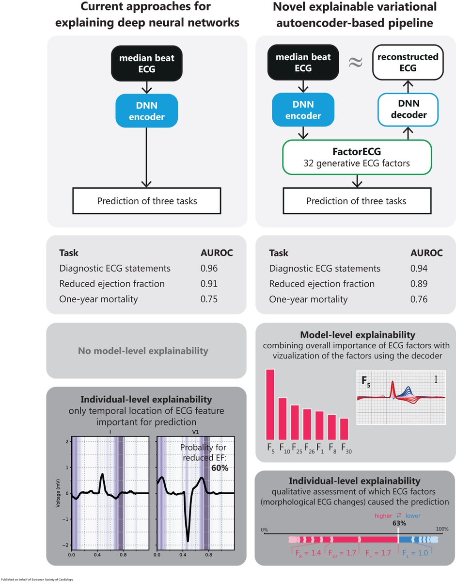 European Society of Cardiology Journals (@esc_journals) on Twitter photo Improving explainability of deep neural network-based #ECG interpretation using variational auto-encoders academic.oup.com/ehjdh/advance-…
#EHJDigital #ArtificialIntelligence #DeepLearning <a href="/BruiningNico/">Nico Bruining EiC EHJ Digital Health</a> <a href="/rafavidalperez/">rafavidalperez</a> <a href="/pauldub67/">Paul Cummins</a> <a href="/rbcasado/">Ruben Casado Arroyo</a> Improving explainability of deep neural network-based #ECG interpretation using variational auto-encoders academic.oup.com/ehjdh/advance-…
#EHJDigital #ArtificialIntelligence #DeepLearning <a href="/BruiningNico/">Nico Bruining EiC EHJ Digital Health</a> <a href="/rafavidalperez/">rafavidalperez</a> <a href="/pauldub67/">Paul Cummins</a> <a href="/rbcasado/">Ruben Casado Arroyo</a>