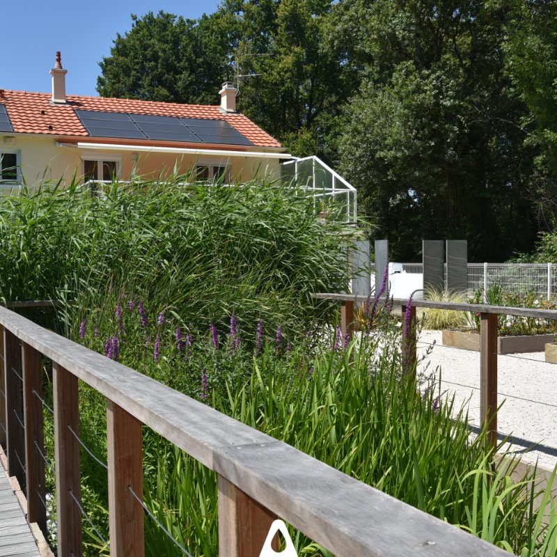 Aquatiris tweet media