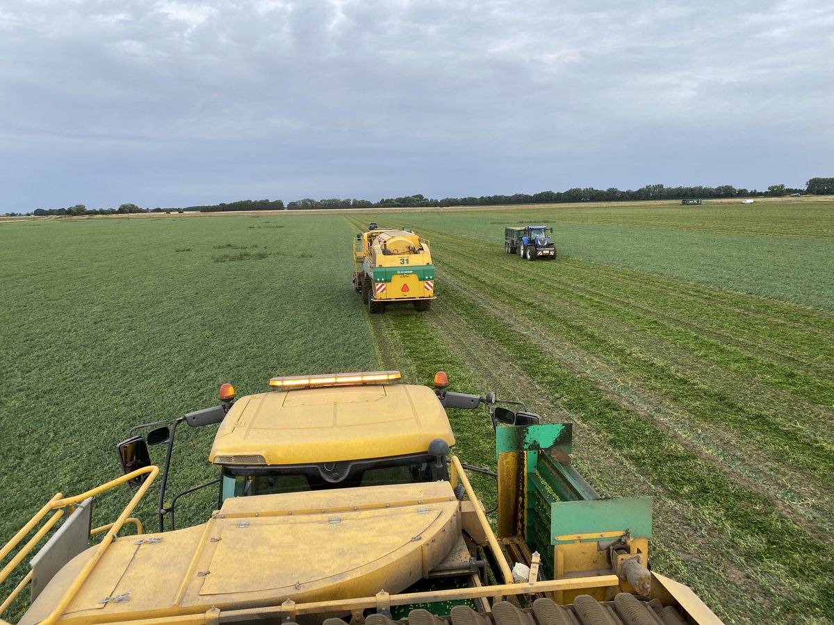 Fen Peas Ltd tweet media