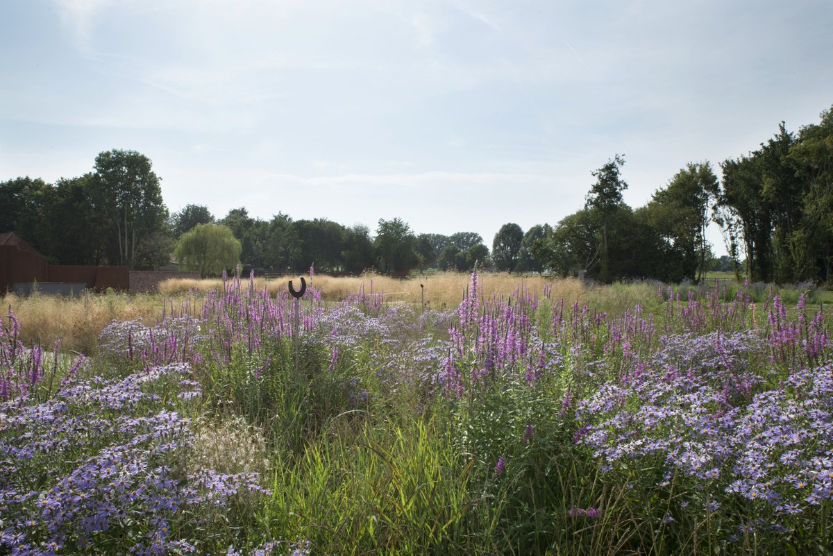 worldlandscapearchitect.com/etzenrade-cast… #WLA2022

Archeology meets biodiversity. <a href="/wlandscapearch/">World Landscape Arch</a> on our Etzenrade Castle Garden design.

Client: <a href="/Gem_Beekdaelen/">Gemeente Beekdaelen</a> 
Icw: Piet Oudolf <a href="/deltavormgroep/">deltavormgroep</a> Plangroep Heggen
Partners: <a href="/ibaparkstad/">IBA Parkstad</a> <a href="/WLomgeving/">Waterschap Limburg</a> <a href="/WLomgeving/">Waterschap Limburg</a> Regioarcheoloog Parkstad <a href="/RAAPerfgoed/">RAAP</a>