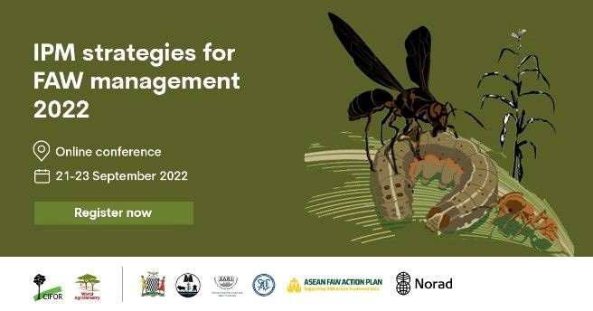 TheLandAlliance's tweet photo. 📢 You're Invited | 21 - 23 Sep

🐛Integrated Pest Management Strategies for Fall Armyworm Conference

This event will bring together researchers working on solutions to Fall Armyworm management to present their latest findings.

Submit your abstracts!
👉: https://t.co/pGez4nJ3Df https://t.co/6MRsJdGfBg