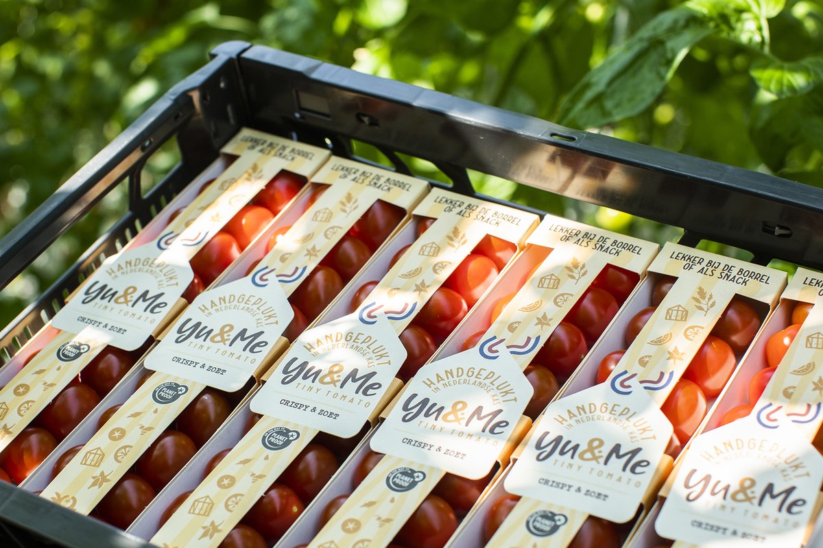 Duurzaamheid is een belangrijk uitgangspunt voor de YU&amp;ME tomaatjes. Zo bestaat de verpakking enkel uit karton. Lees de hele klantcase: ow.ly/LziR50K5mYp 

#packaging #design #duurzaamheid #samenwerking #innovatie #maatwerk