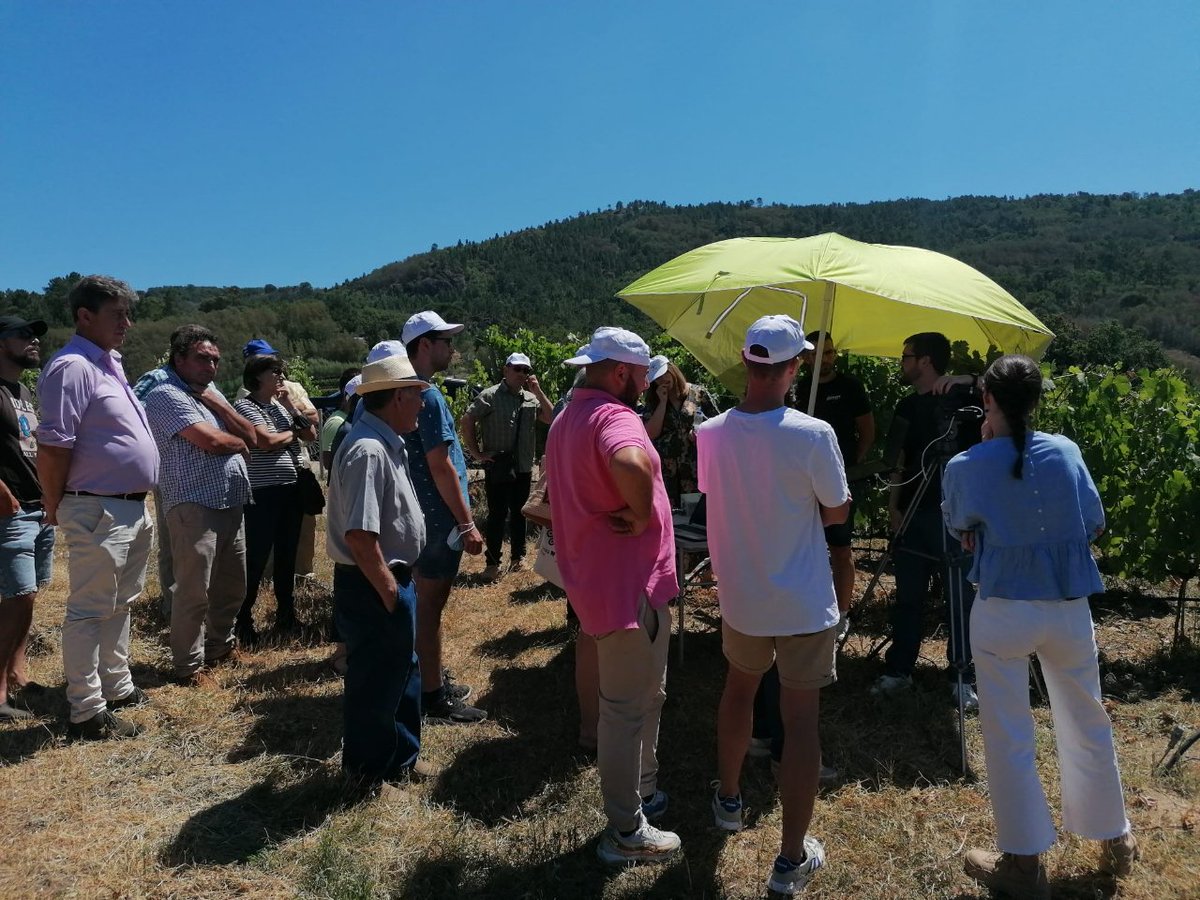 VINIoT1's tweet photo. Yesterday listening Julio Illade (from @aimenct) in the middle of an explanation at the #EVEGA demo farm visit!
#prototype #multiespectral #validation https://t.co/UFBjejpwFY