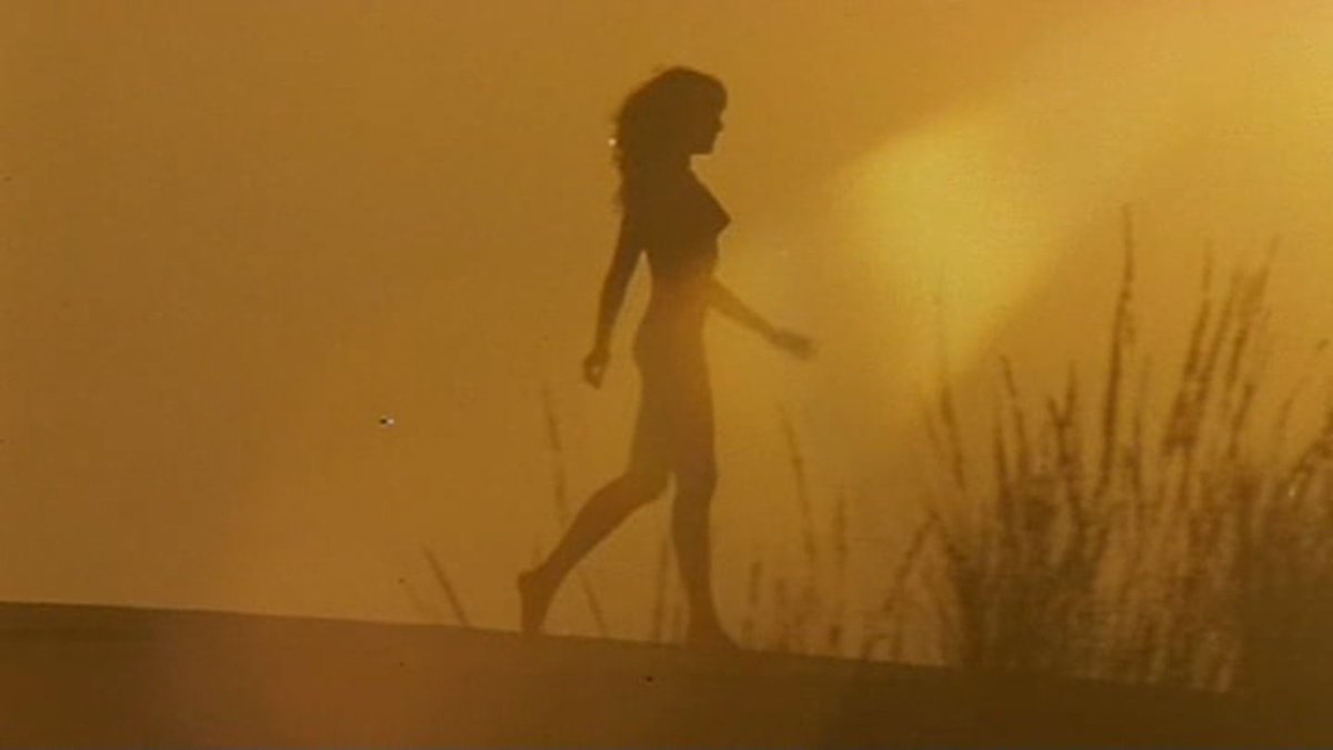 GiovanniSusina's tweet photo. Lilian (la virgen pervertida) (1984), by this point, is quite familiar but still pleasing Jess Franco territory, with a superb Daniel White score and Lina Romay in top form.
#DanielWhite #LinaRomay #KatjaBienert https://t.co/TEbifciwxz