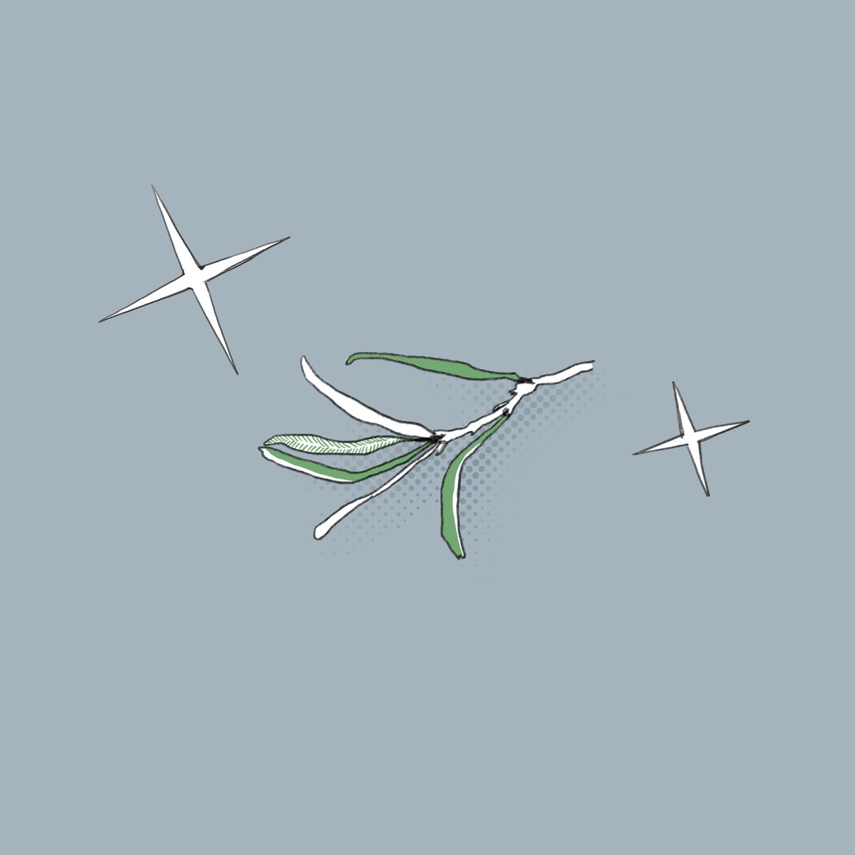 artyomka_cg's tweet photo. ___
#ARTYOMKA_CG #GUTALIN_ART #2D #digital #cg #skull #Seabuckthorn #berry #graphic #star https://t.co/lWGnr7s8Uv
