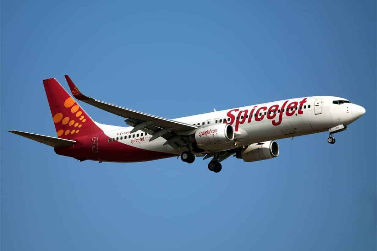 travelobiz's tweet photo. No Flight Cancelled Or Delayed Due To DGCA Restrictions: SpiceJet
#Airlines #Aviation #AviationNews #DGCA #FlightRestriction #Spicejet
https://t.co/TKrPvu3Tcq https://t.co/lIQ7iE5MUZ