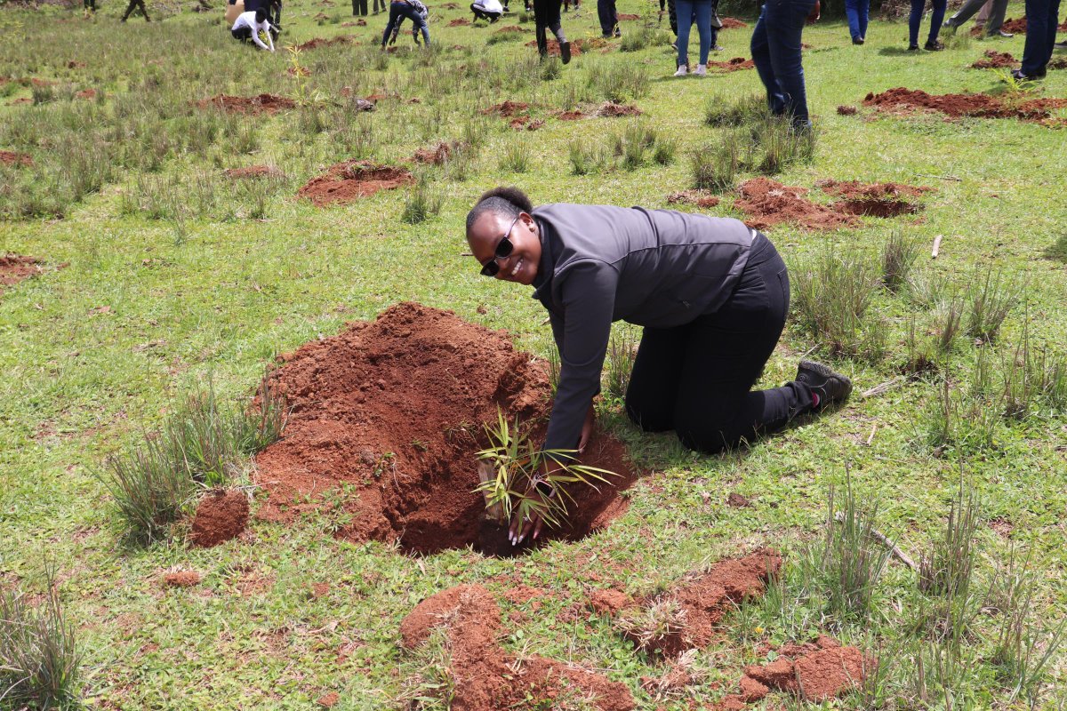 vivoenergykenya's tweet photo. We have now included Kaptagat Forest as one of the areas that receive our support to conserve its tree cover. We currently have projects in Kakamega, Kajiado, Kilifi, and Nairobi counties. 
#EnvironmentConservation @NETFUNDkenya https://t.co/C6lVegDq2K