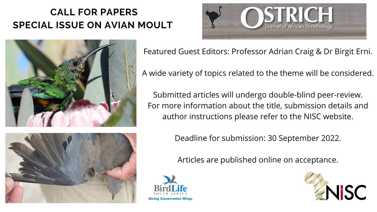 ostrichJAO's tweet photo. Call for papers for our special issue on avian moult!

To submit: https://t.co/XhmzOgKbhP
Author instructions: https://t.co/1IYHN9q4BV https://t.co/au2sGG9bzZ