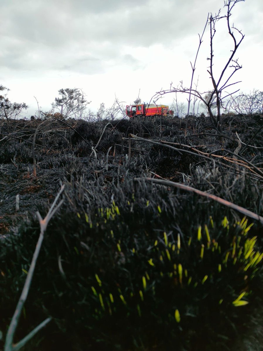 SDIS_18's tweet photo. 🚒🌲🔥 Des nouvelles des #pompiers18 partis en renfort dans le #Finistère

Les travaux se poursuivent en unité forestière pour le noyage et s’articulent autour de 3 secteurs
Le périmètre du chantier fait 37 km
Les équipes travaillent difficilement mais le moral est bon
#FDF #GIFF https://t.co/Np9sIwpvlS