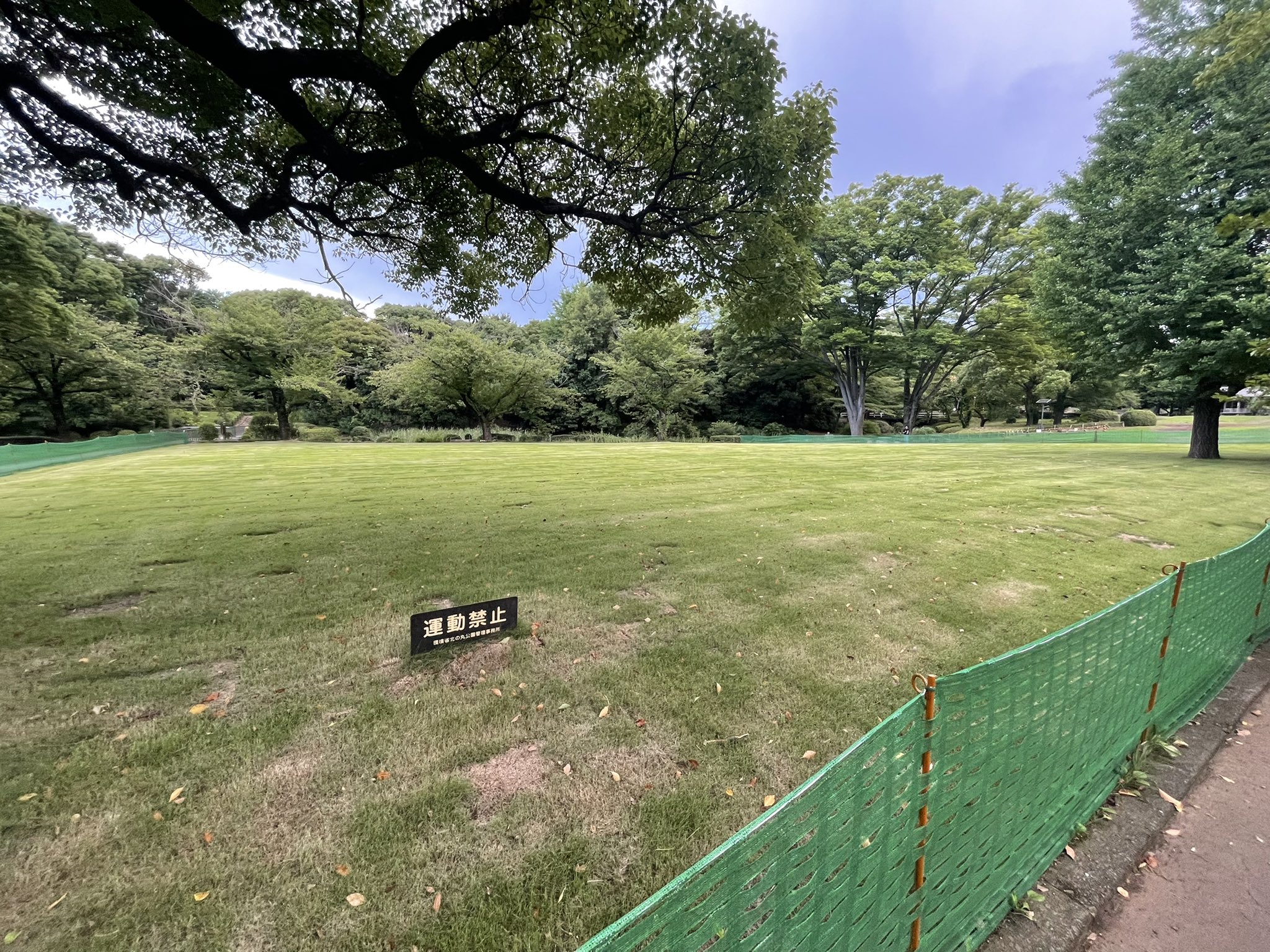芝生vlogの芝jun 北の丸公園の芝生 公園にしては綺麗かな 北の丸公園 芝生 T Co W96kmheikk Twitter