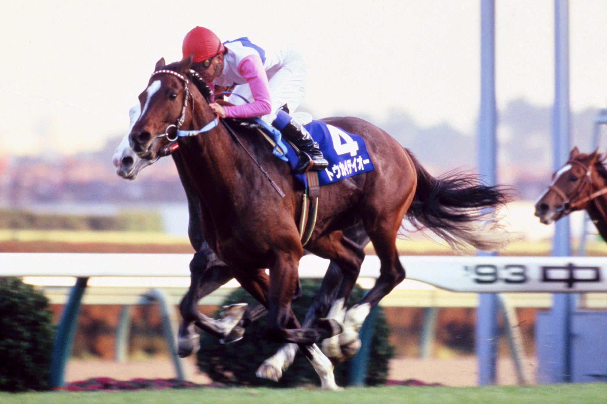トウカイテイオー　夢を駆ける　名馬列伝　2冊セット　ウマ娘　競馬　奇跡の復活 3分でわかる】トウカイテイオー・奇跡の復活劇 | JRA公式 - YouTube