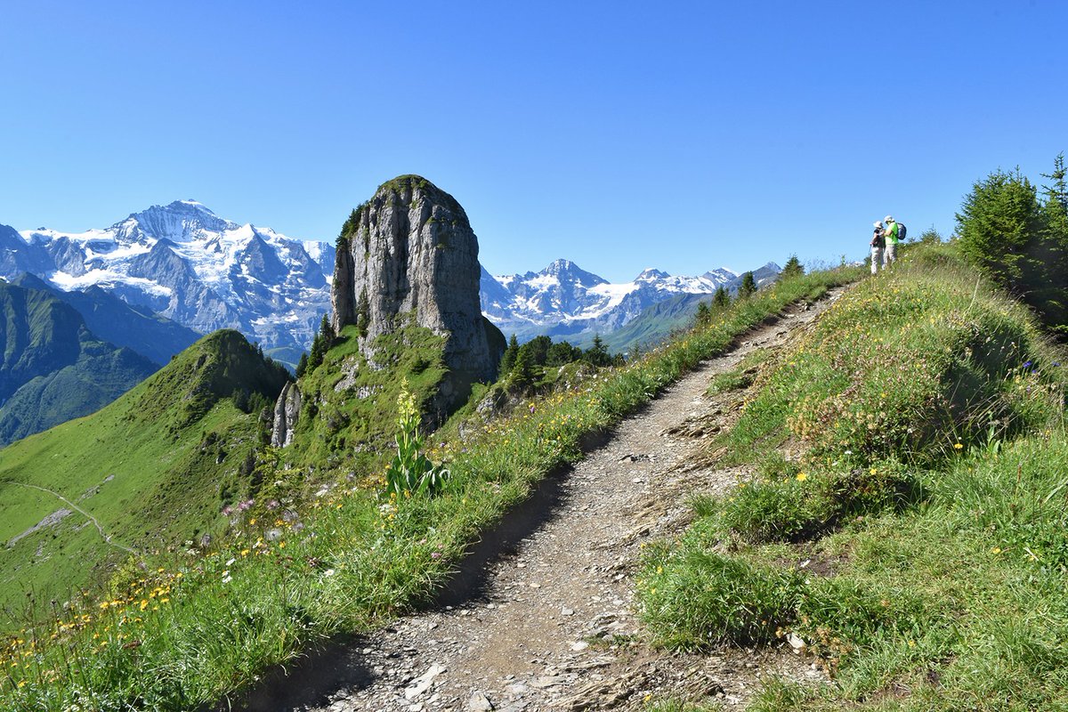 WegWandernCH's tweet photo. Top-Wanderung 👍 auf dem #SchynigePlatte #Panoramaweg mit einem spektakulären #Gratweg und grandioser #Aussicht:
➡️https://t.co/zjgWwMGWFj
.
.
.
#berneroberland #wandern #wanderung #wandernschweiz #swisshike #flusswanderung #swissalps #hikingswitzerland #blickheimat #wanderlust https://t.co/n5bRAxI9MW
