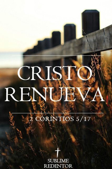 MiguelCruzVelz1's tweet photo. MI DIOS https://t.co/UD5UinnYIX