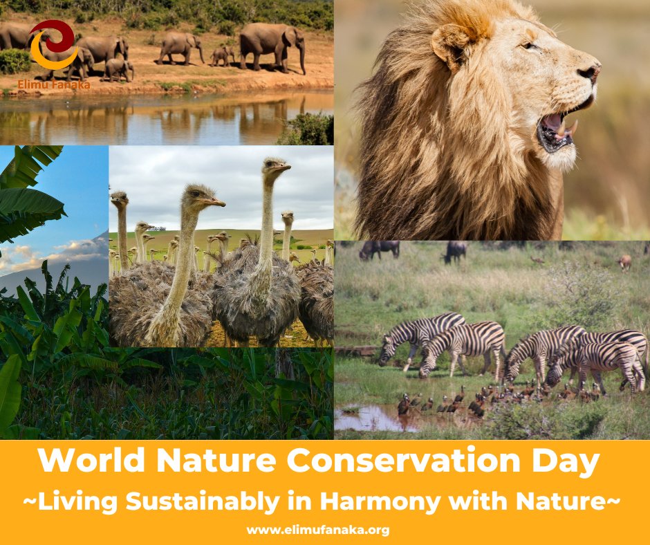 elimufanaka's tweet photo. Today we mark World Nature Conservation Day reminding you of the importance of conserving natural resources. Tutunze maliasili! Upo?
You can learn more about our projects here: https://t.co/zoKjvC3Amf
#QualityEducationForAll
#worldnatureconservationday
#BooksDriveCampaign https://t.co/M8VmeocCvY