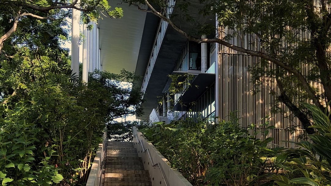 ksyyuan's tweet photo. Tropical biophilic design - School of Design and Environment SDE4 #architecture #photography https://t.co/Y7cE94U3Cc