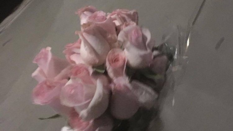 leeipsa's tweet image. “𝘋𝘳𝘦𝘢𝘮 𝘨𝘪𝘳𝘭; 𝘥𝘢𝘳𝘬 𝘳𝘢𝘷𝘦𝘯 𝘩𝘢𝘪𝘳, 𝘪𝘯𝘯𝘰𝘤𝘦𝘯𝘵 𝘧𝘢𝘸𝘯 𝘦𝘺𝘦𝘴, 𝘴𝘰𝘧𝘵 𝘳𝘰𝘴𝘺 𝘣𝘭𝘶𝘴𝘩—𝘢𝘯𝘨𝘦𝘭𝘪𝘤𝘢𝘭𝘭𝘺.”

𝓕luffy cheeks dusted with love, innocent like the white dove. Cotton candy sweater keeps her warm; with cutest eyes and sweetest smile.