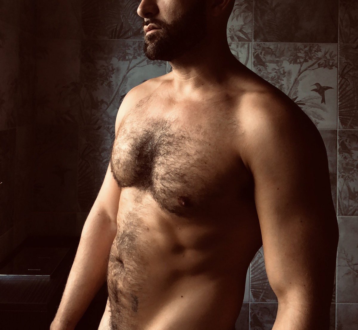 𝙋𝙝𝙤𝙗𝙤𝙨 𝙃𝙖𝙡𝙚 (@analphalete) on Twitter photo 