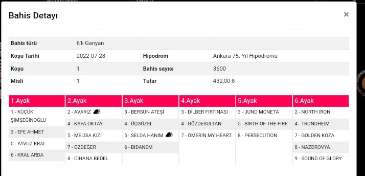 Ankara birinci altili