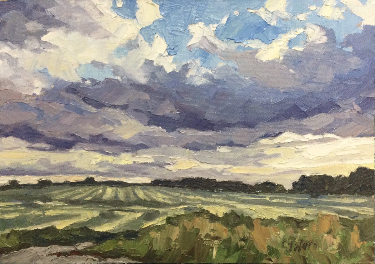 I’m always taken in by skies #skies #bigclouds #paintingskies #oilpainting #lynnwardartist