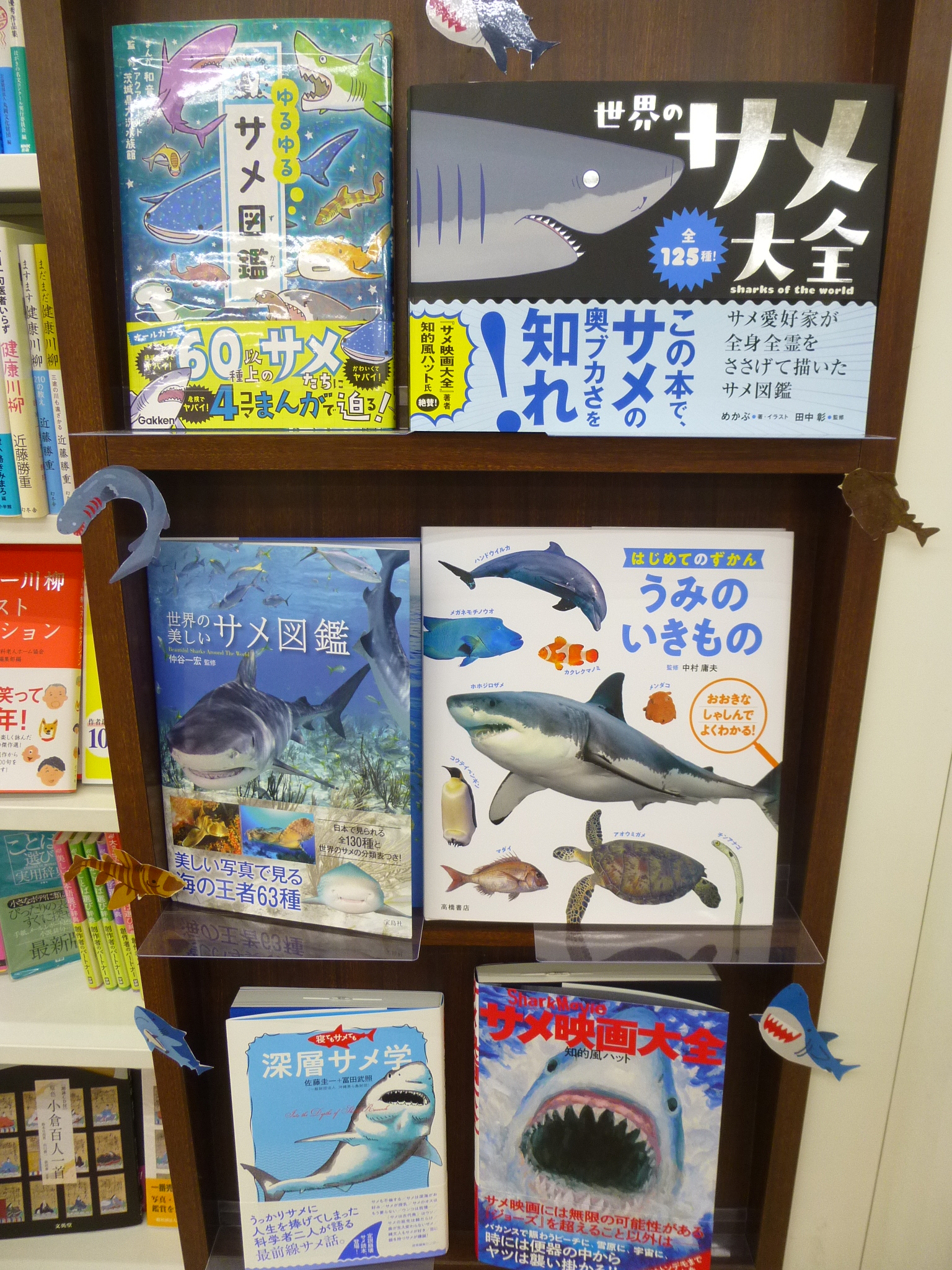 宮脇書店 宮脇書店本店 本館1階より サメ愛好家が全身全霊をささげて描いたサメ図鑑 世界のサメ大全 ｓｂクリエイティブ 著 イラスト めかぶ さん 監修 田中彰 さん 全125種 素敵で分かりやすいイラストそして ボリュームが凄い サメ愛が本の