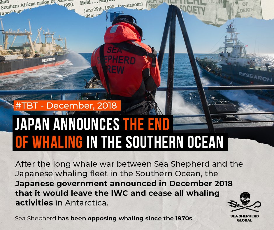 Sea Shepherd: A Movement 