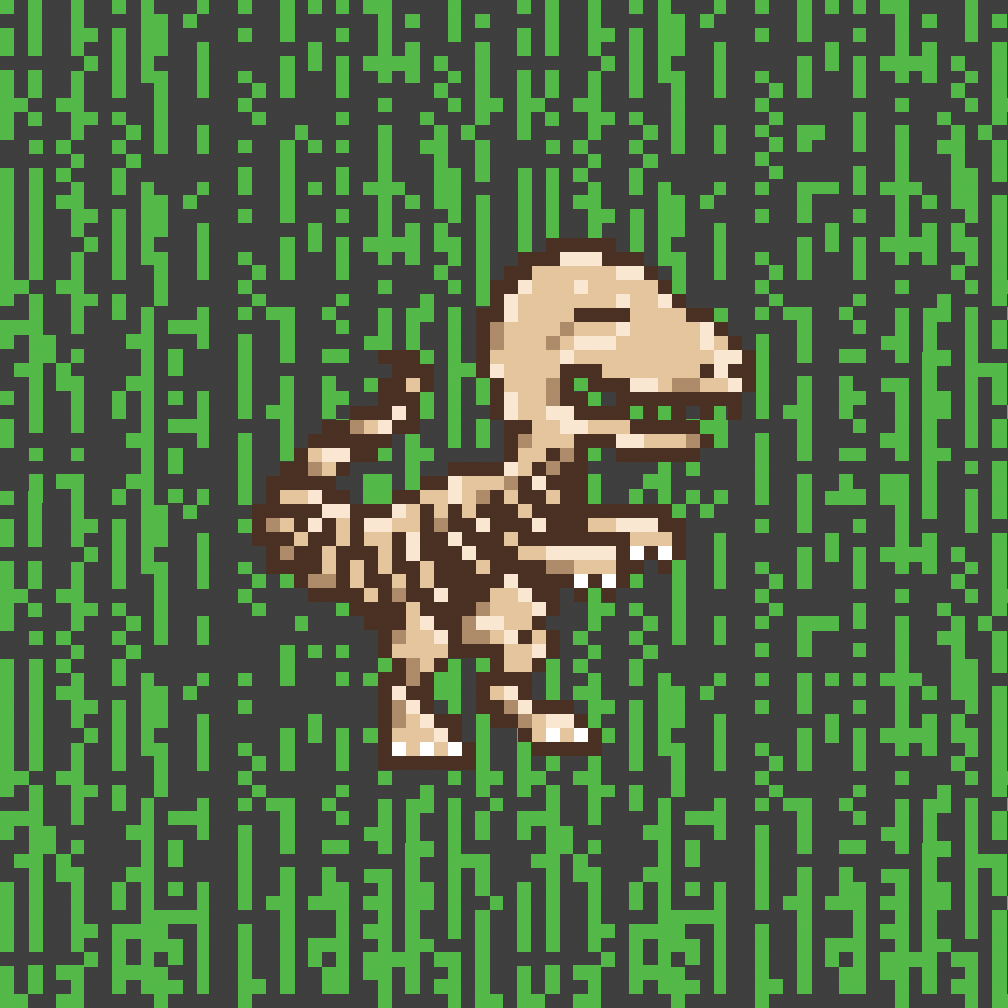 The Zoo Club 动物园 tweet media