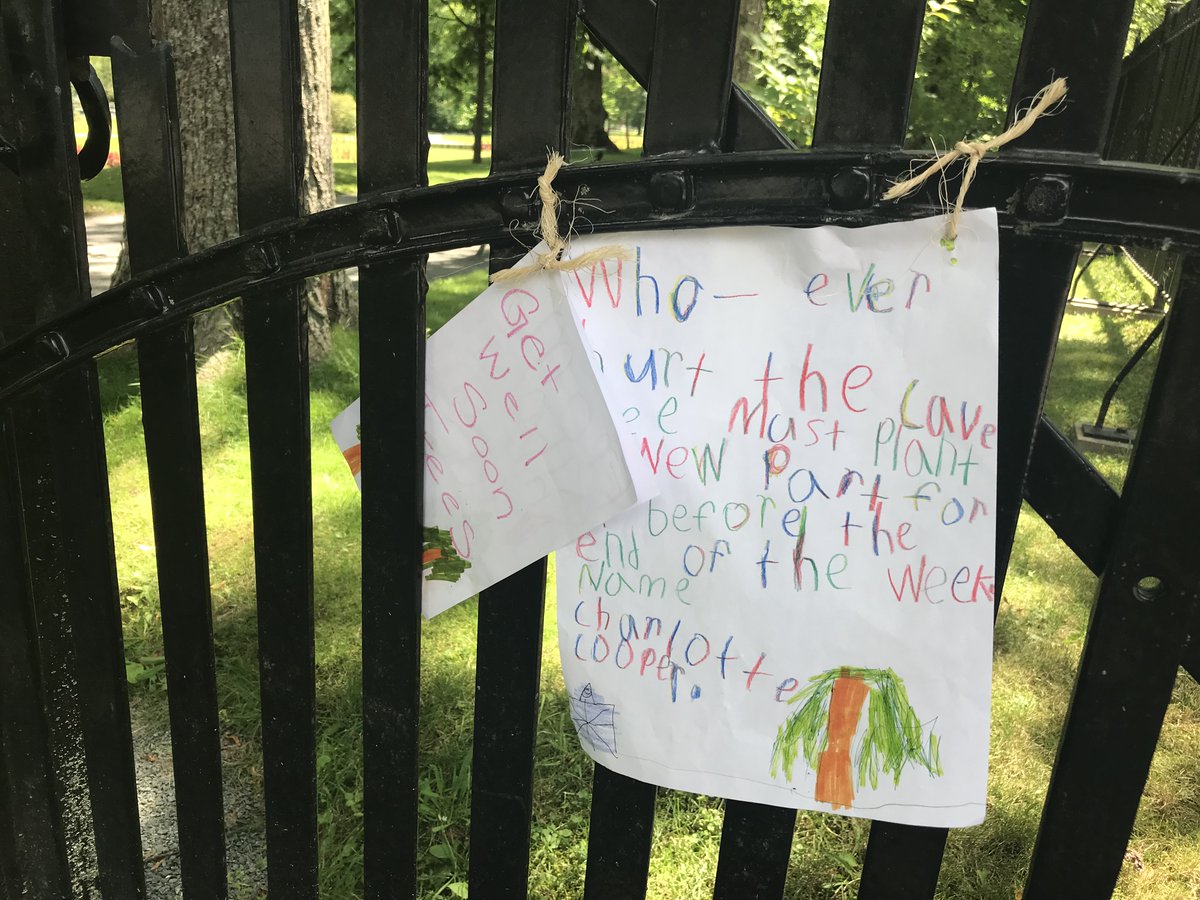 Cards from children for the Halifax Public Gardens. Someone stripped the bark off the trunks of roughly 30 trees. Some damaged trees are 200 years old. cbc.ca/news/canada/no…
