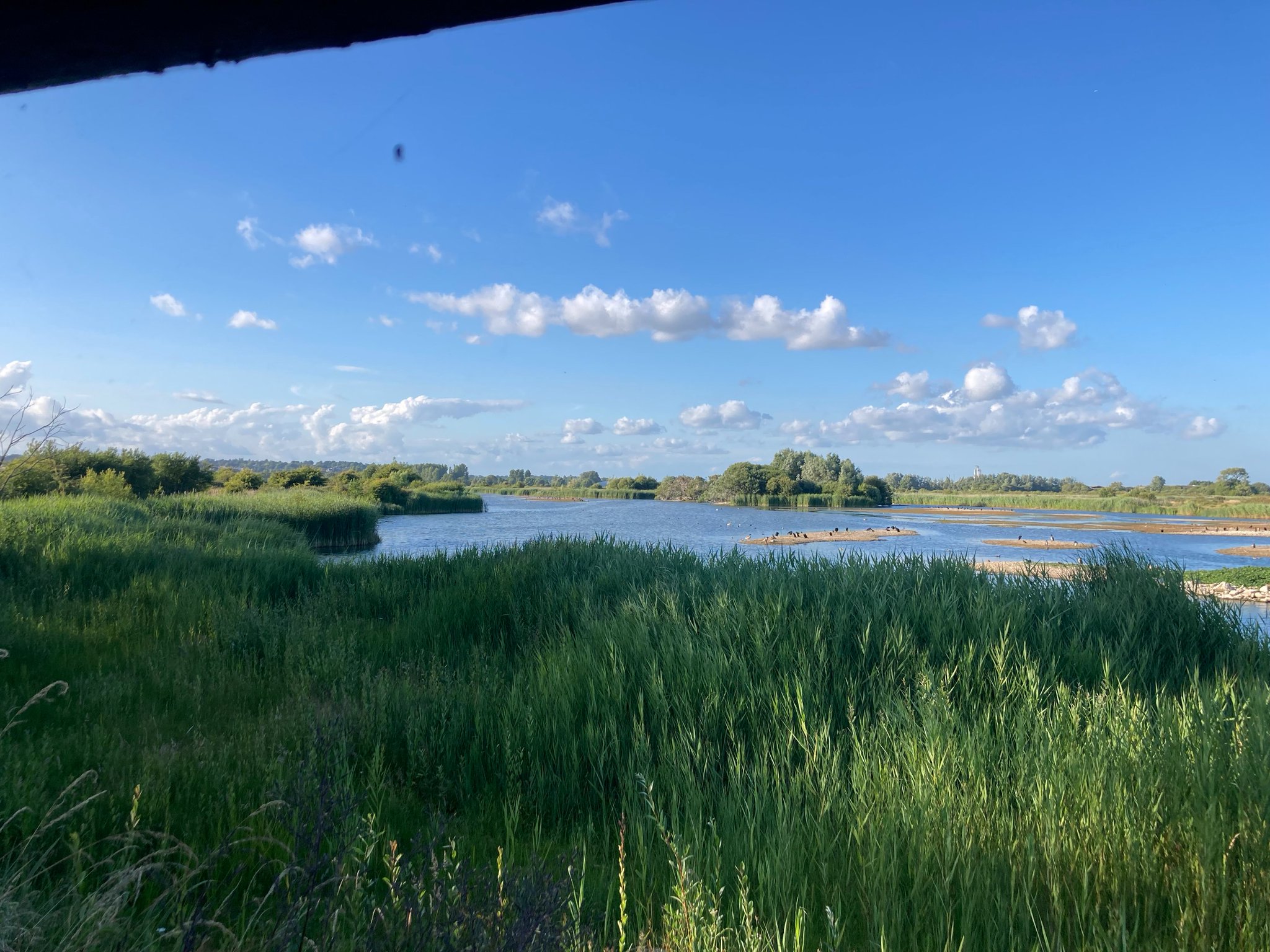 Sam Murphy (Pyrah) on Twitter: 