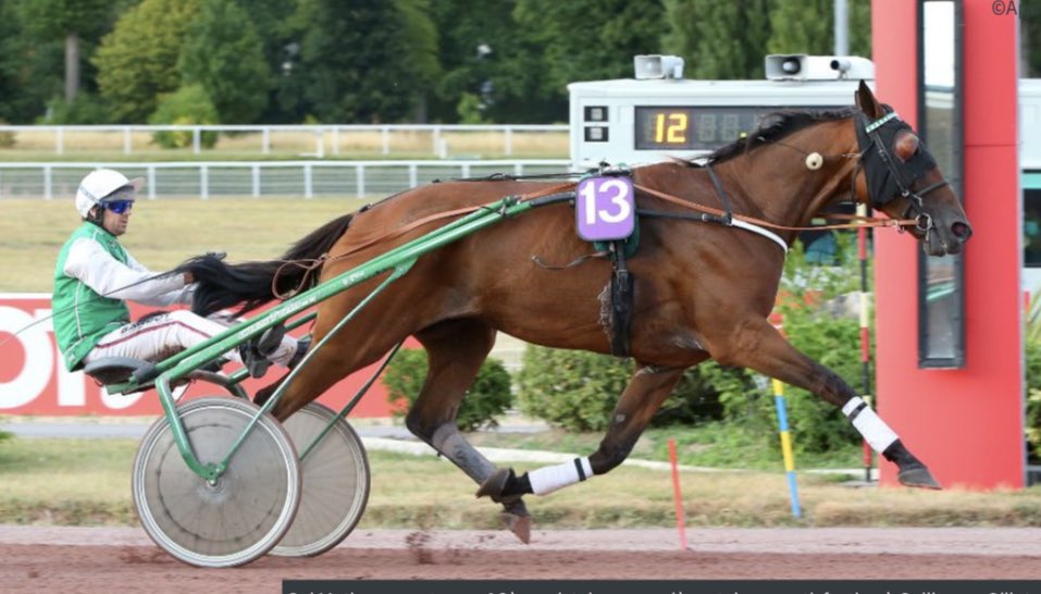 Doux Parfum surnommé affectueusement Doudou Poisson s'impose hier dans le quinté à Enghien avec la complicité de Y. Lebourgeois!🥰                                                  Aussi grand que gentil, le vétéran de l'écurie montre que c est lui le patron!💪❤️<a href="/ViscariaGG/">Guillaume Gillot</a>