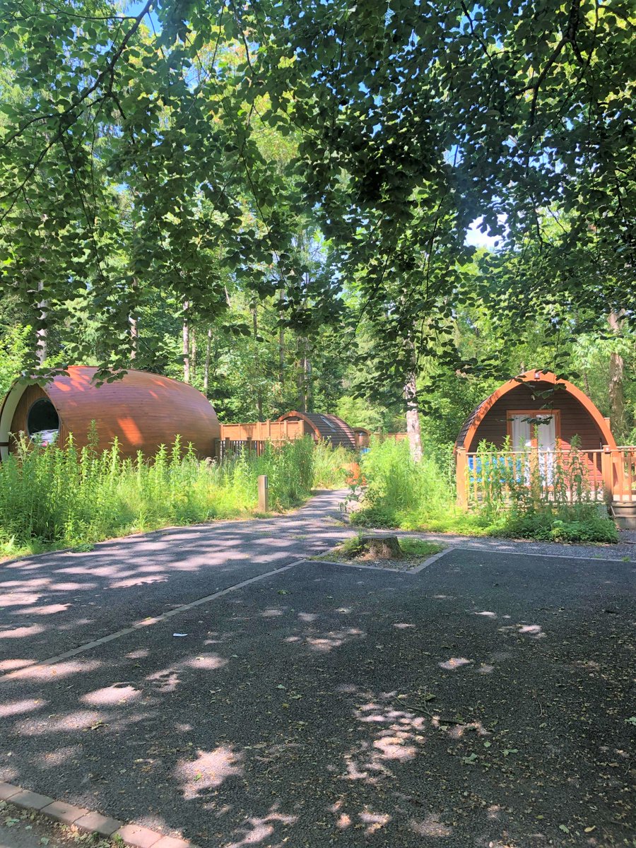 Experience the ultimate woodland retreat this summer with our Brokerswood Holiday Park. Stress free travels, unlimited fun and *hopefully* good weather 🌞

📍  haulfrynholidays.co.uk/our-parks/wilt…