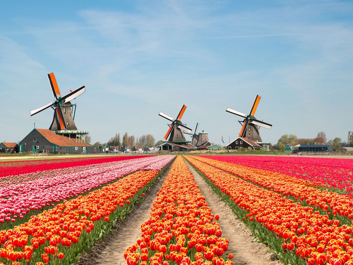 Bizim iki büyük eyaletine istinaden “Hollanda” diye hitap ettiğimiz, aslen ismi Nederland (Alçak Ülke) olan ülkenin uluslaşma öyküsü eski bir Germen kabilesi olan Bataviler’e dayanıyor.