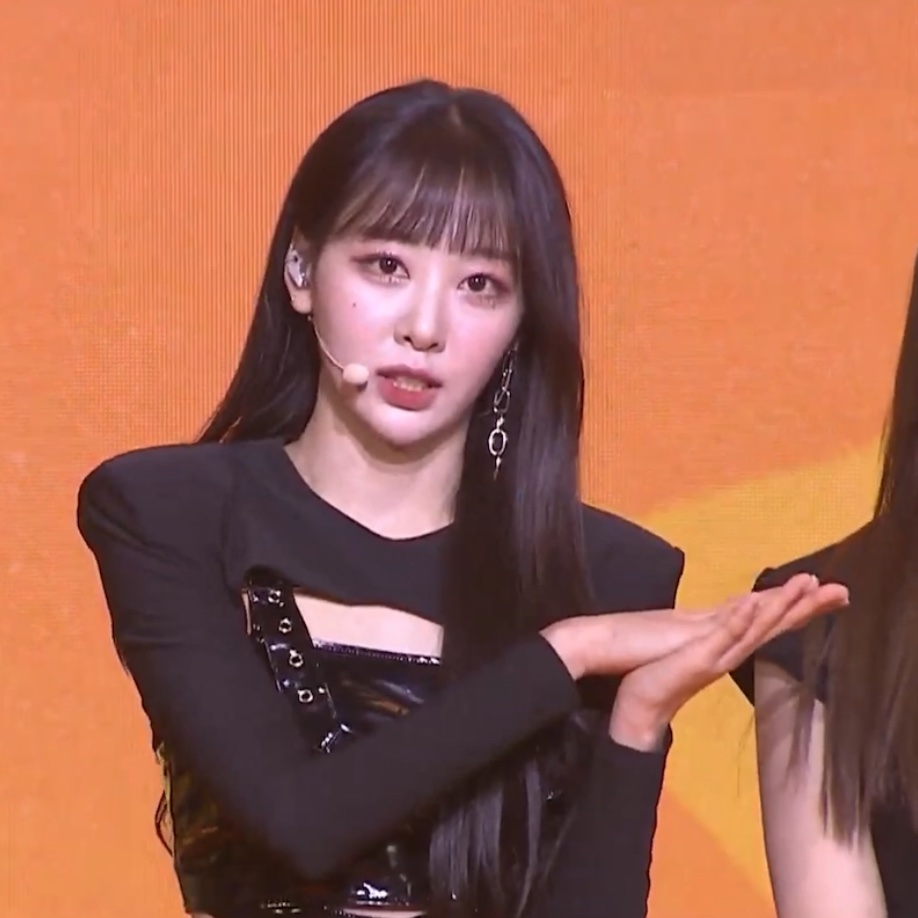 hourly loonacatcher bot - CLOSED tweet media