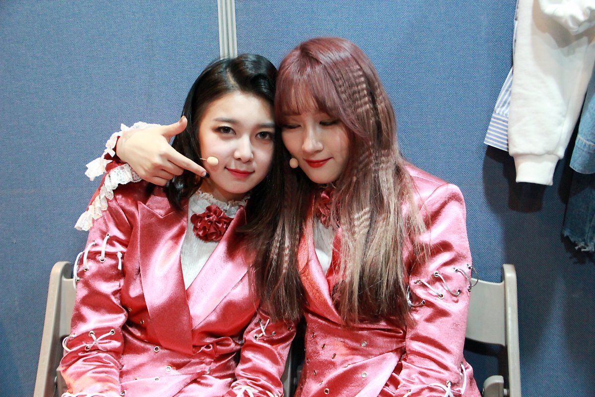 hourly loonacatcher bot - CLOSED tweet media