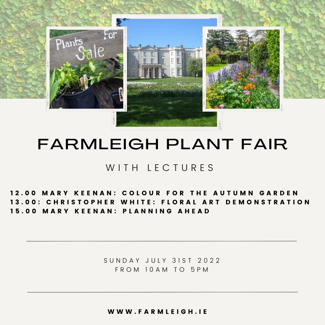 Have you any plans for the bank holiday weekend...why not pay a visit to the Annual Farmleigh Plant Fair on Sunday.... In addition to over 25 plant nurseries there will be about 10 other stalls selling garden paraphernalia, prints, and related garden items.